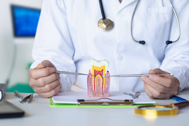 Best Dentist for Tooth Abscess  in Dublin, PA